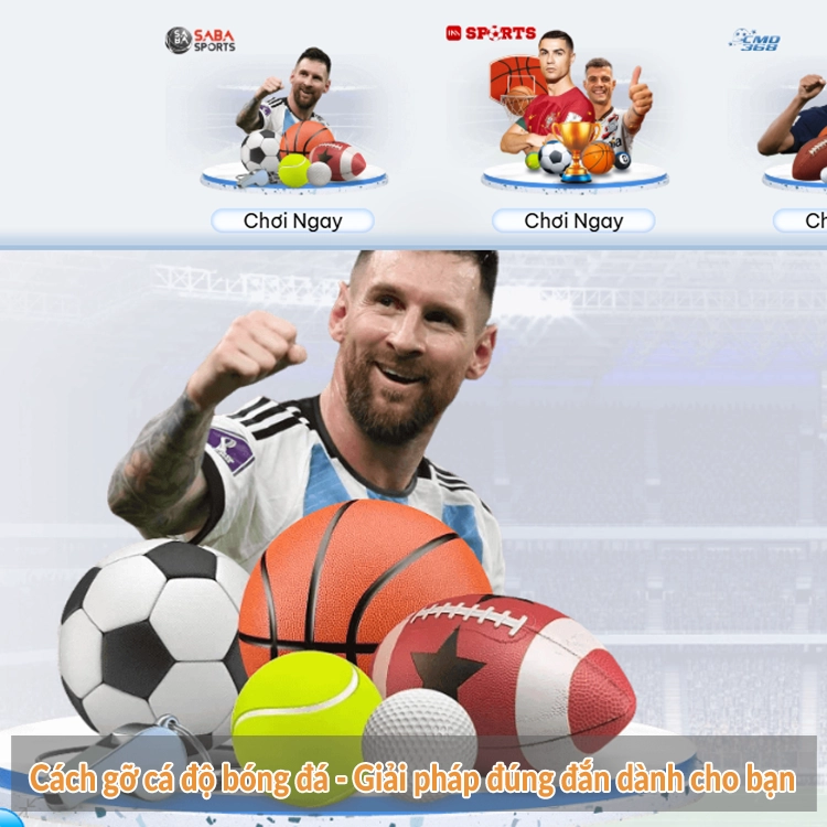 Cách gỡ cá độ bóng đá – Giải pháp đúng đắn dành cho bạn Cách gỡ cá độ bóng đá - Giải pháp đúng đắn dành cho bạn