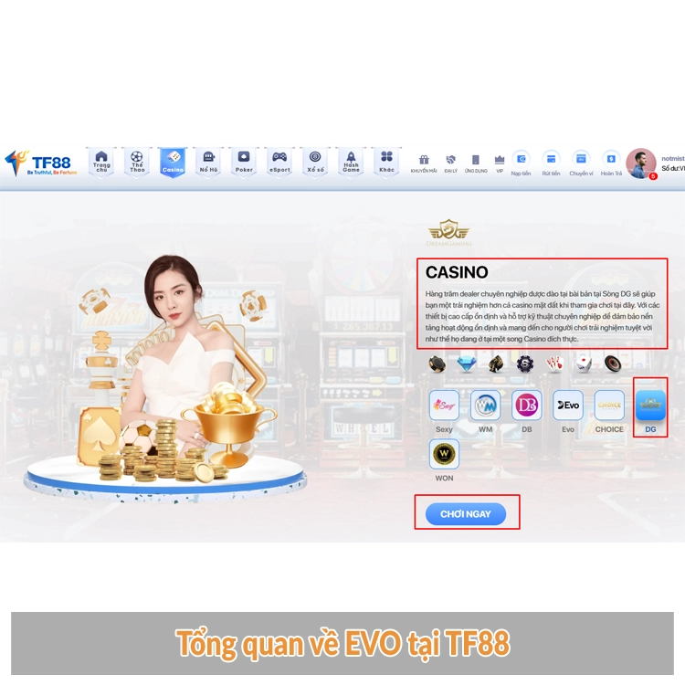 Tổng quan về EVO tại TF88 Tổng quan về EVO tại TF88